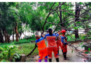 聞“汛”而動 | 西大(dà)項目爲校(xiào)園撐起“保護傘