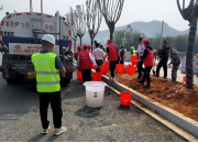 綠色相(xiàng)伴 文明同行 | 蒼梧項目協助開展2023年(nián)春季義務植樹(shù)活動